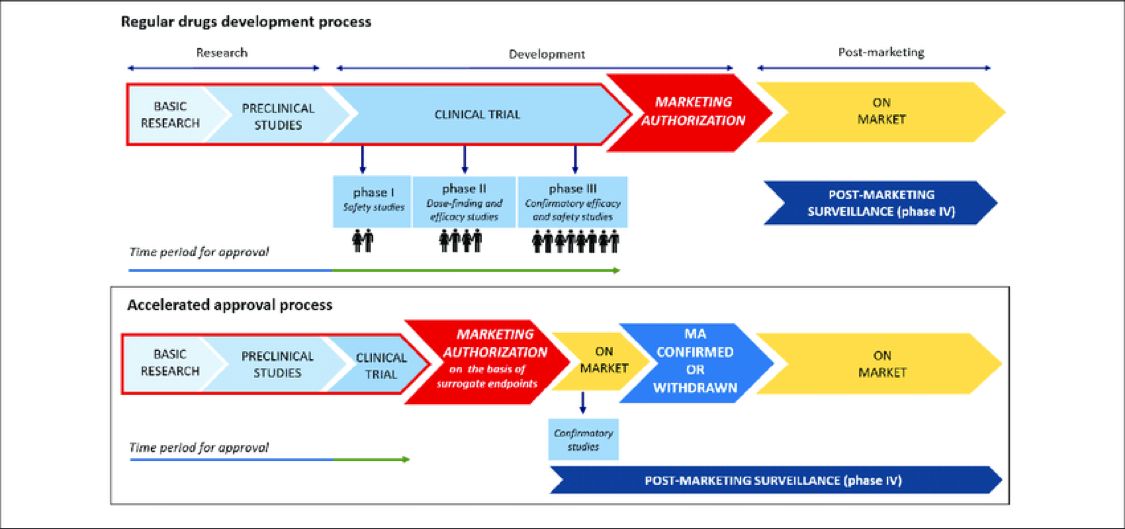 Drug Development and Approval Process | Part III - Pharma Digests