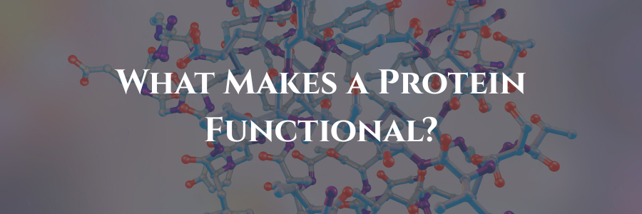 What Makes a Protein Functional?