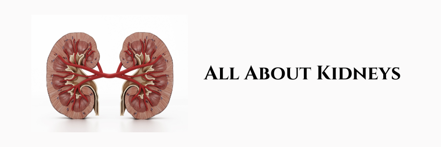 All About Kidneys
