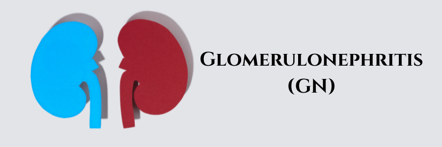 Glomerulonephritis (GN)